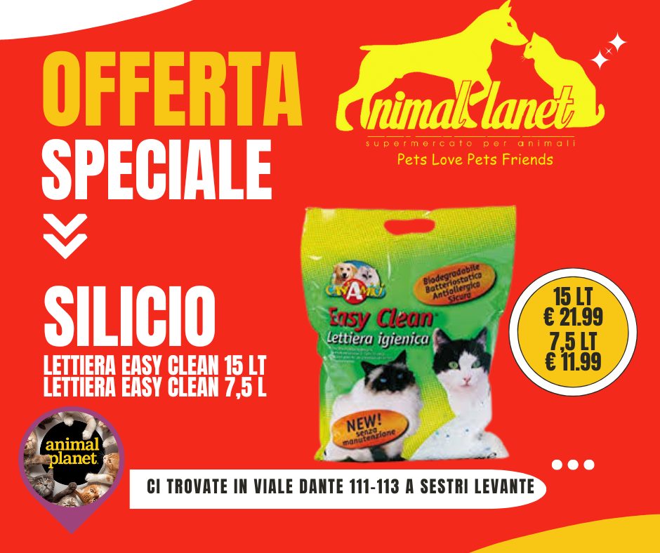 Offerta in Corso