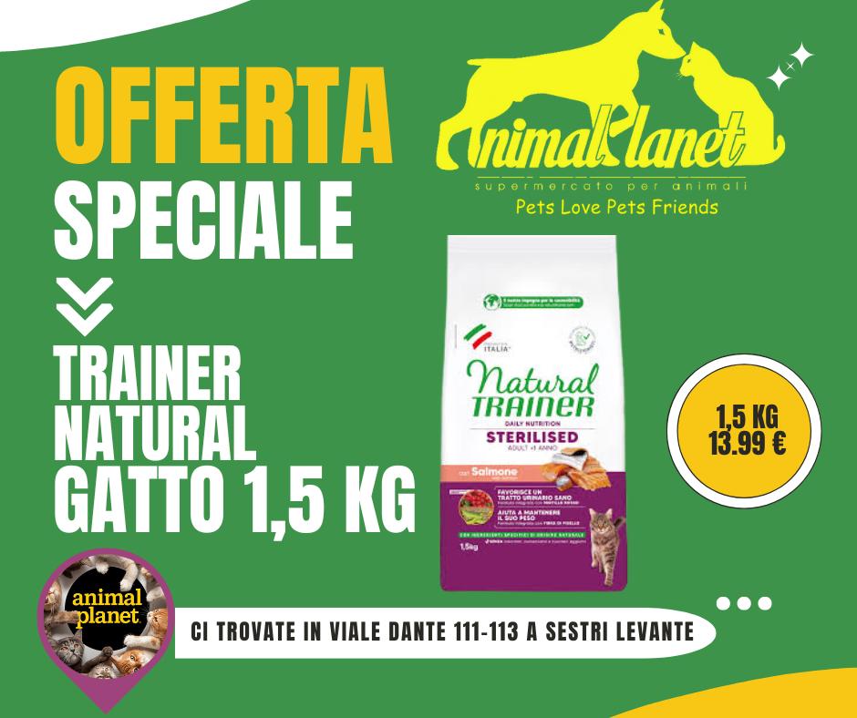 OFFERTE IN CORSO