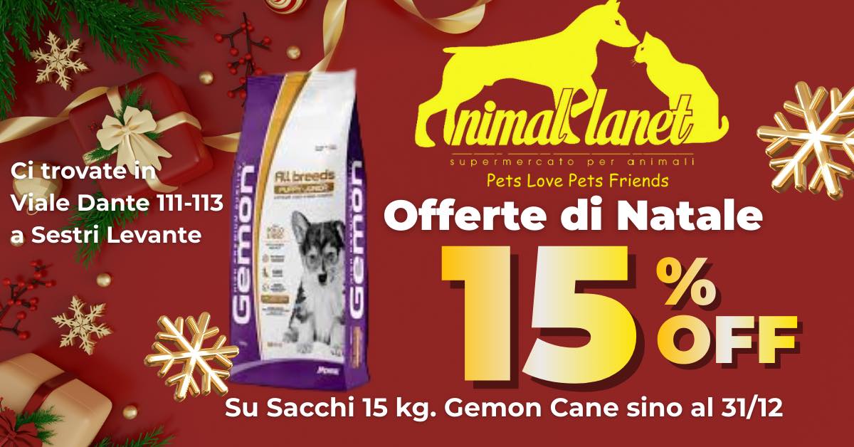 OFFERTE IN CORSO